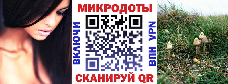 omg сайт  Дальнереченск  Галлюциногенные грибы мицелий 