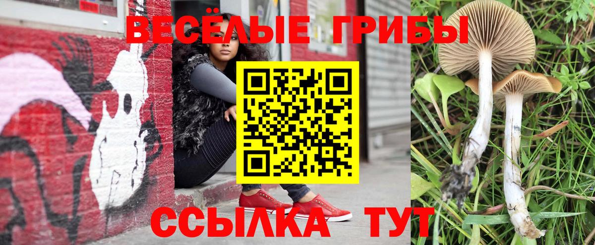 Галлюциногенные грибы прущие грибы  Вход с VPN  Дальнереченск 